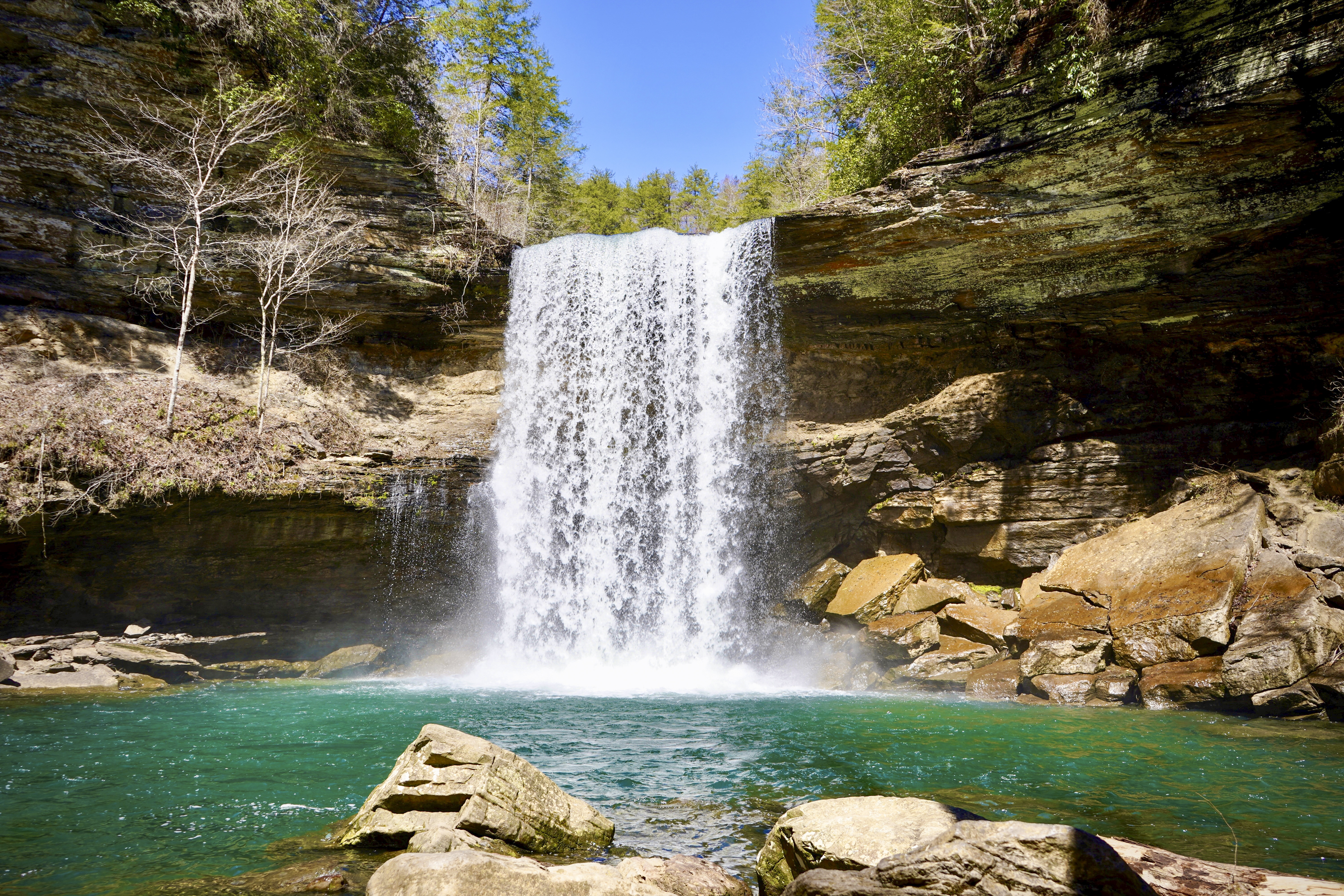 Savage Falls