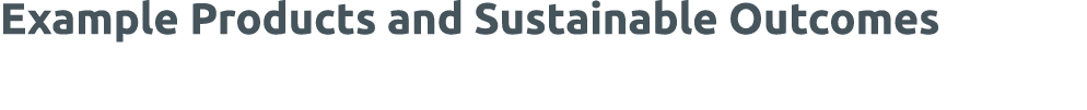 Example Products and Sustainable Outcomes