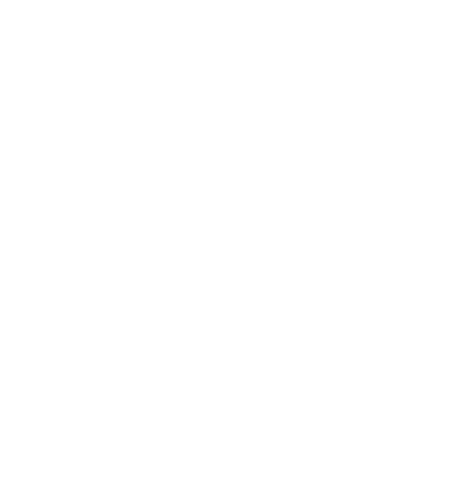 Vision To become “the company of choice for all” Mission To advance diversity in professional and personal developmen...