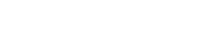 female or minority CEO direct reports