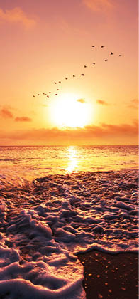 sea sunset