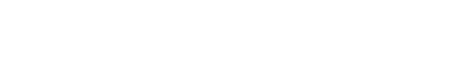 LEADERSHIP COMPETENCIES 
