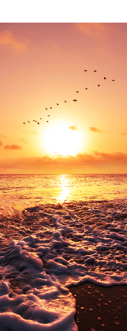 sea sunset