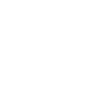 PREVIOUS NEXT